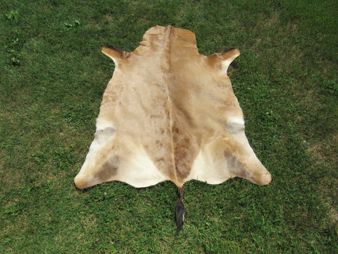 Hartebeest Skin Size: 57"x49" O-1036