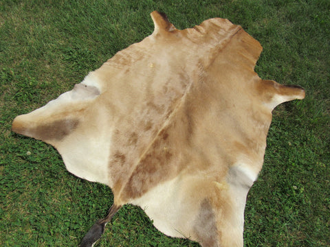 Hartebeest Skin Size: 57"x49" O-1036