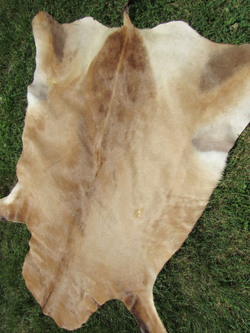 Hartebeest Skin Size: 57"x49" O-1036