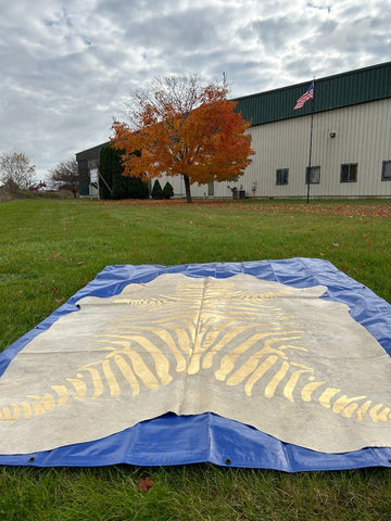 Giant Cowhide Rug with Gold Metallic Zebra Stripes Size: 8x7.2 feet O-1115