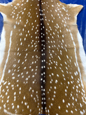 Top Grade Axis Deer Skin (no holes) Size: 40x33" Axis-726