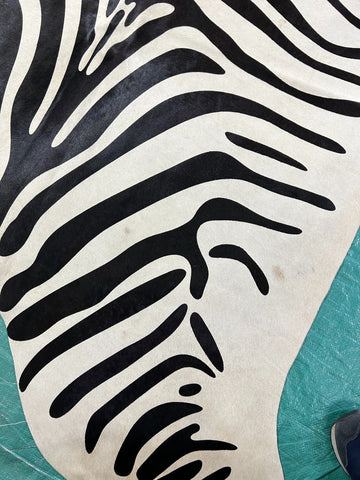 Zebra Cowhide Rug (neck has some subtle beige line/ 1 patch) Size: 6x5.2 feet M-1273