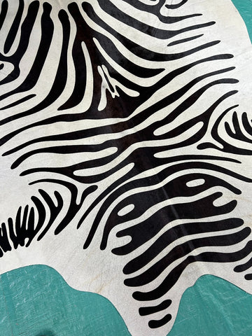 Zebra Cowhide Rug (neck is a little bit grey/ 3 patches) Size: 6x5.5 feet M-1274