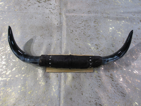 1 Steer Horns Mount 30 inches Wide Polished Cow Horns Longhorn Mounted Taxidermy