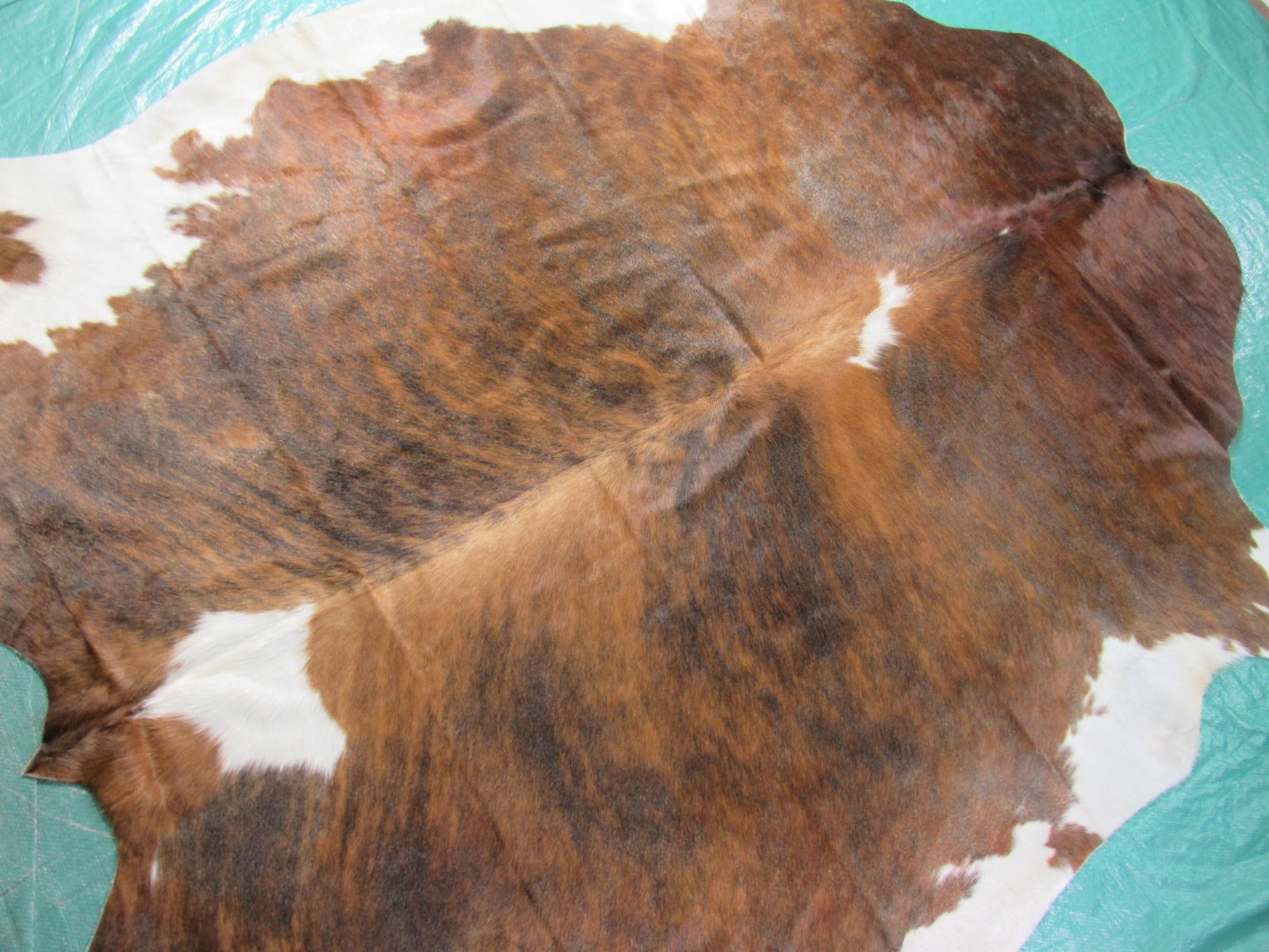 Awesome Unique Tricolor Cowhide Rug (gorgeous shiny hair) Size: 7x5 3/4 feet K-205a