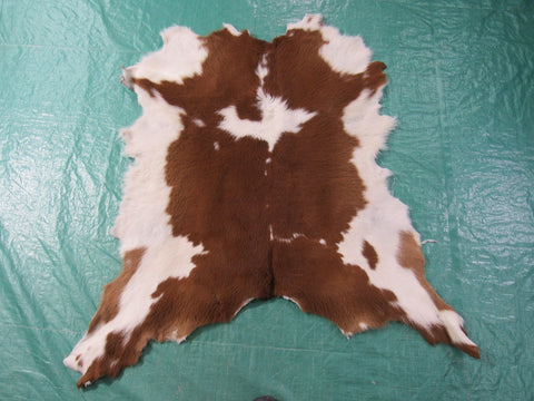 Hereford Calf Skin (longish hair) Size: 45x44" K-212a