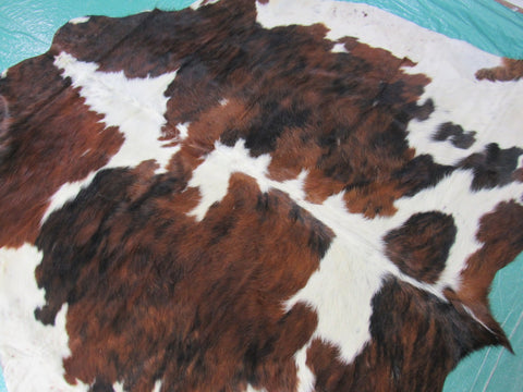 Tricolor Cowhide Rug Size: 5 1/4x6 feet K-222a