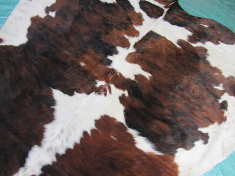 Tricolor Cowhide Rug Size: 5 1/4x6 feet K-222a