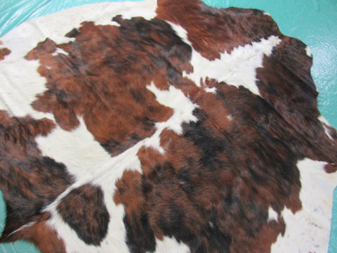 Tricolor Cowhide Rug Size: 5 1/4x6 feet K-222a