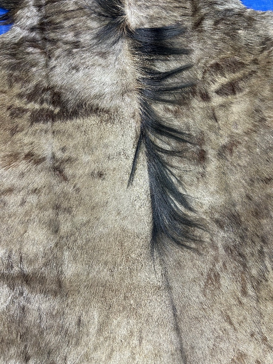 Wildebeest Skin Size: 6x5 feet C-1899