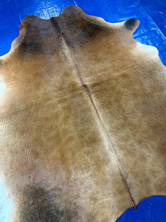 Solid Light Mahogany Cowhide Rug Size: 6x5.2 feet C-1903