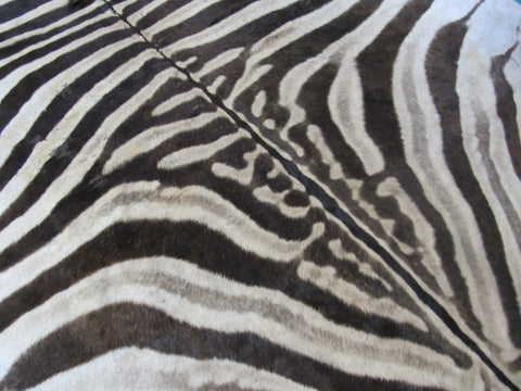 Zebra Skin Rug # 108 (a few scars/Tail is 30") Size: 8x6 feet