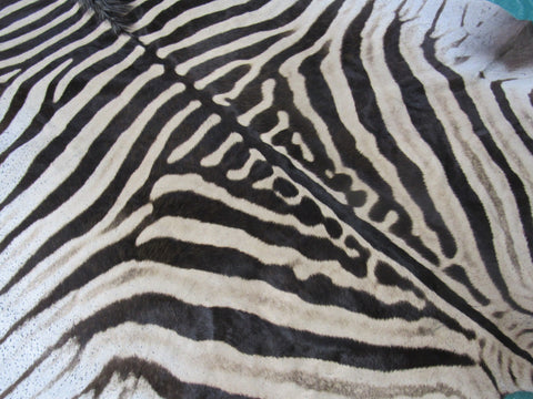 Zebra Skin Rug # 109 (lots of specs/awesome tail 27"/Nice full mane) Size: 7.5x6.7 feet