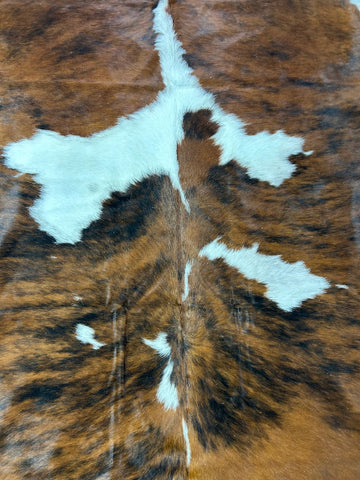 HUGE Tricolor Cowhide Rug Size: 9x7.5 feet C-1913
