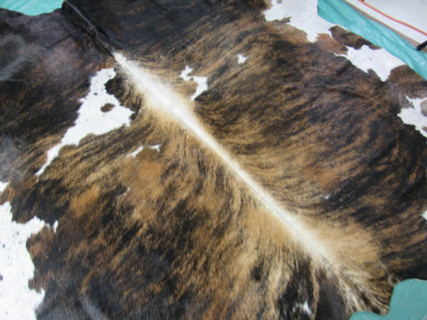 Beautiful Brazilian Tricolor Cowhide Rug (#17) - A Couple of Natural Scratches Size: 8 1/4x6 3/4 feet O-1065