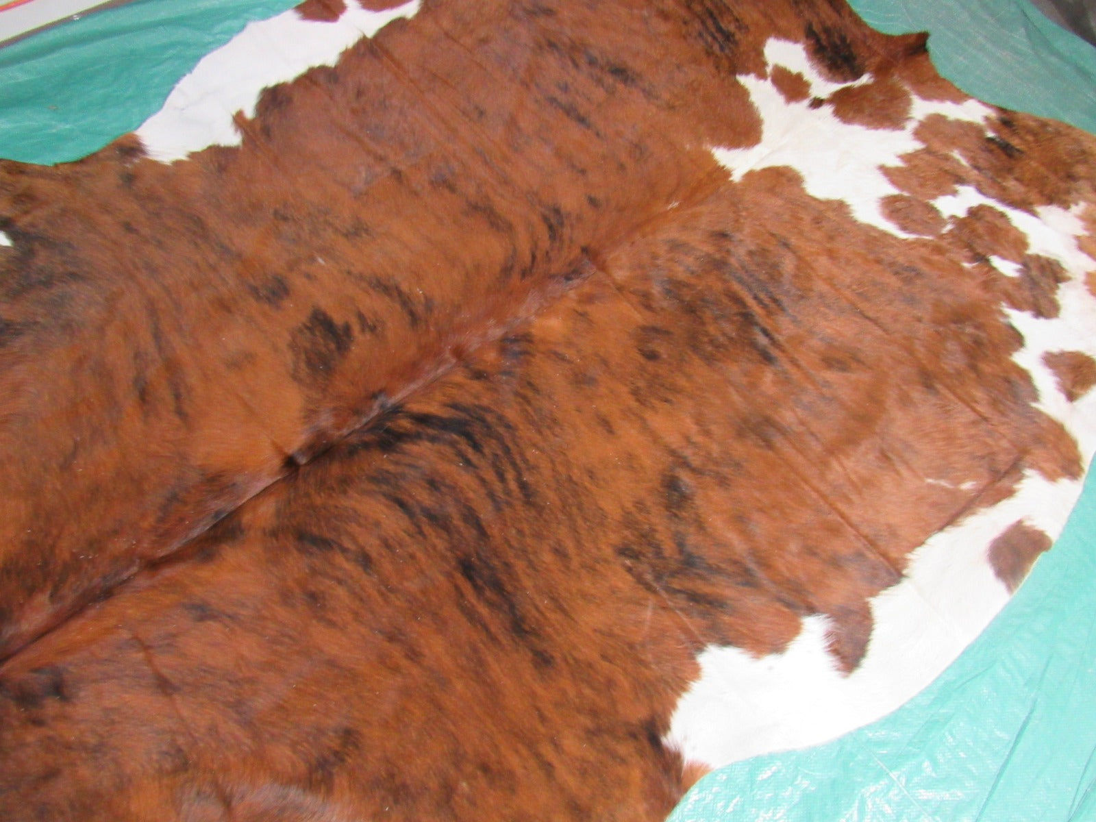 Tricolor Cowhide Rug (predominantly brown) Size: 7 1/4x6 3/4 feet K-232a