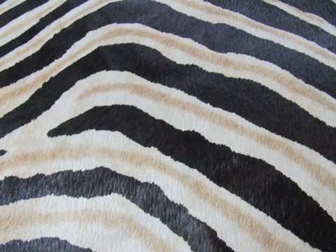 Genuine Zebra Cowhide Rug (inner stripes are light brown/yellowish) Size: 7x5.5 feet M-1170