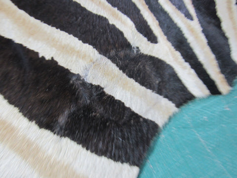 Genuine Zebra Cowhide Rug (inner stripes are light brown/yellowish) Size: 7x5.5 feet M-1170