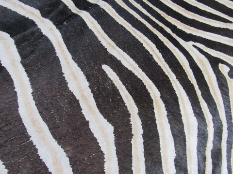 Genuine Zebra Cowhide Rug (inner stripes are light brown/yellowish) Size: 7x5.5 feet M-1170