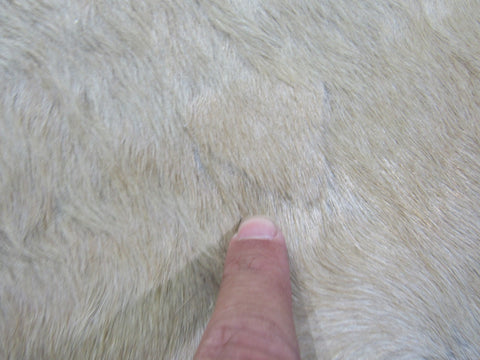 Palomino Cowhide Rug (shiny hair - Alpen/ Pearl Color) Size: 6.5x6 feet M-1172