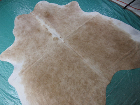 Palomino Cowhide Rug (white belly and spine) Size: 6x6 feet M-1173