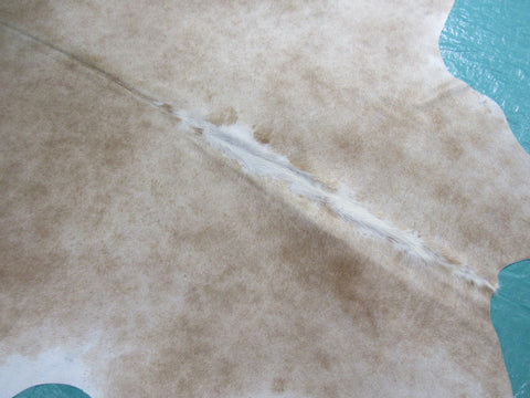 Palomino Cowhide Rug (white belly and spine) Size: 6x6 feet M-1173