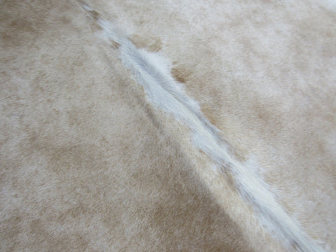 Palomino Cowhide Rug (white belly and spine) Size: 6x6 feet M-1173