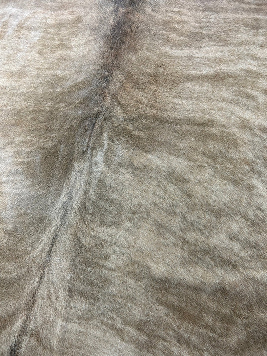 Big Beige Brindle Cowhide Rug Size: 8x7 feet O-384
