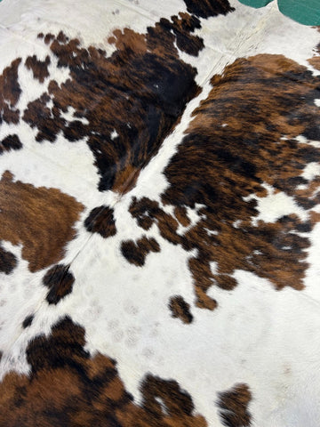 Big Tricolor Cowhide Rug Size: 8x7 feet M-1372