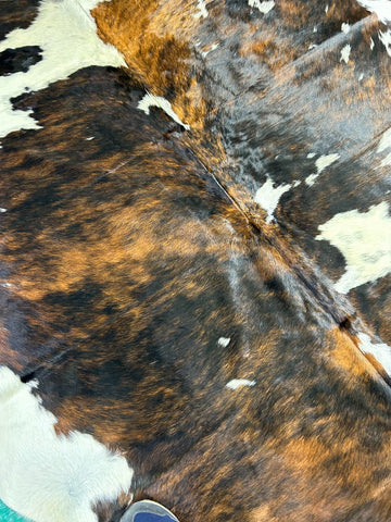 Big Tricolor Cowhide Rug Size: 8x7 feet M-1374