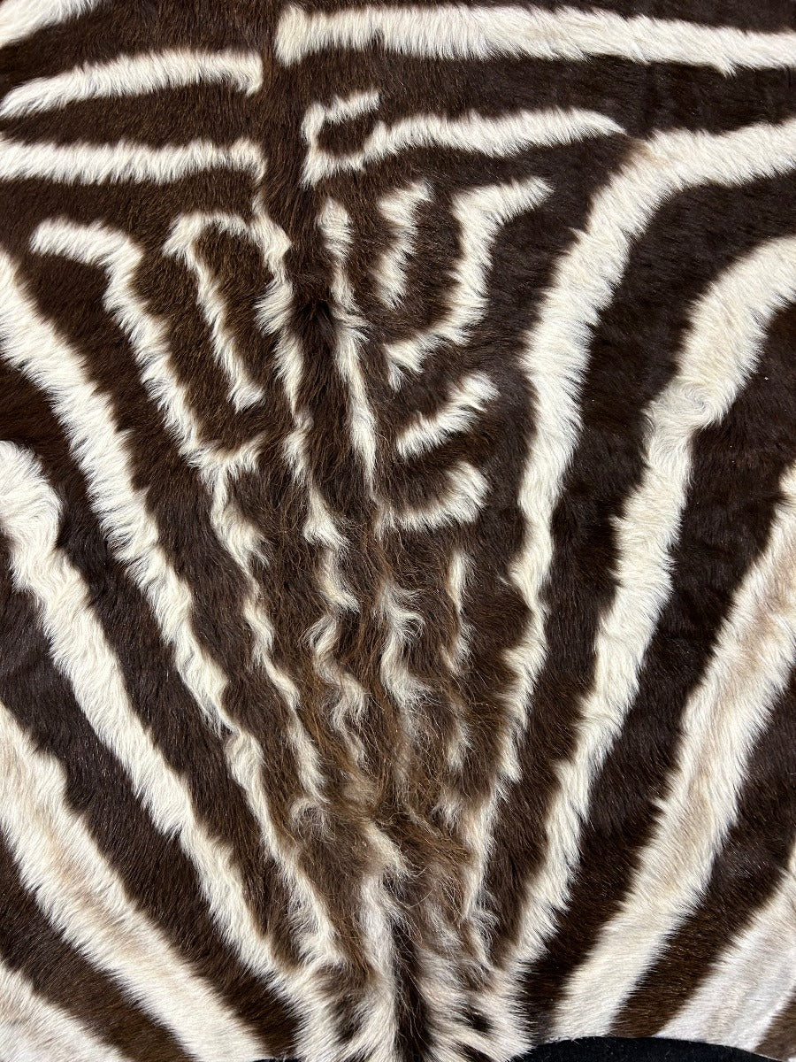 Juvenile Zebra Cowhide Rug (Tail is 19") Size: 6x5.2 feet # 138
