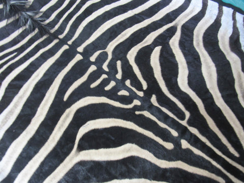 Felted Zebra Skin # 112 (Awesome quality, tail is 38", super nice quality and big wide neck) Size: 8.2x7 feet