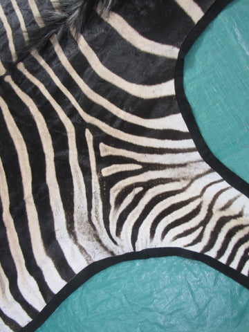 Felted Zebra Skin # 112 (Awesome quality, tail is 38", super nice quality and big wide neck) Size: 8.2x7 feet