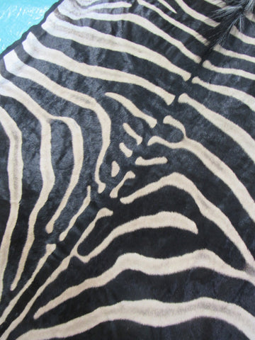 Felted Zebra Skin # 112 (Awesome quality, tail is 38", super nice quality and big wide neck) Size: 8.2x7 feet