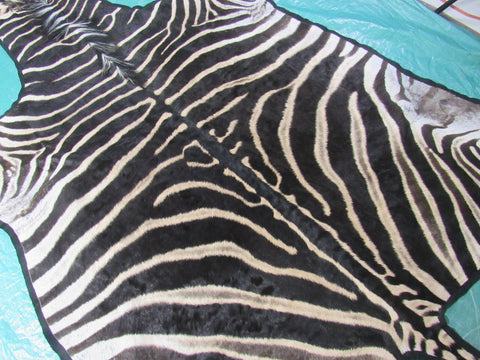 Felted Zebra Skin # 113 (beautiful and unique, tail is around 37", super nice quality) Size: 8x7 feet