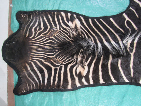 Felted Zebra Skin # 113 (beautiful and unique, tail is around 37", super nice quality) Size: 8x7 feet