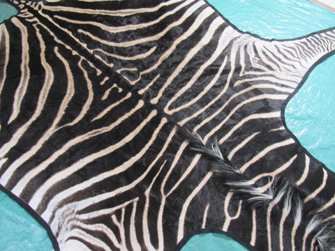 Felted Zebra Skin # 113 (beautiful and unique, tail is around 37", super nice quality) Size: 8x7 feet