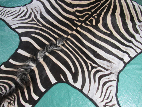 Felted Zebra Skin # 114 (beautiful but has a few scratches/Tail is around 36") Size: 8.5x7 feet