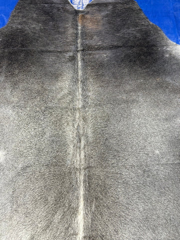 Nice Grey Cowhide Rug with White Belly Size: 6.2x6 feet M-1607
