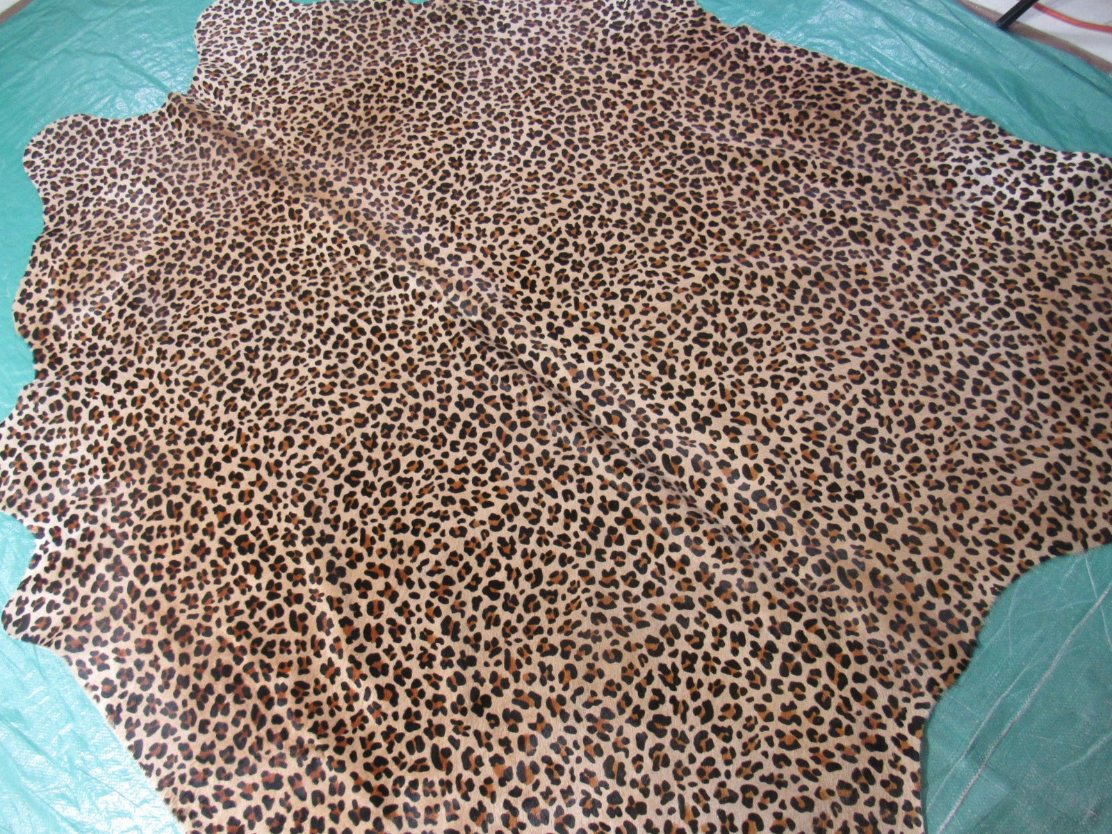 Leopard Print Cowhide Rug Size: 6.5x6.2 feet C-1647