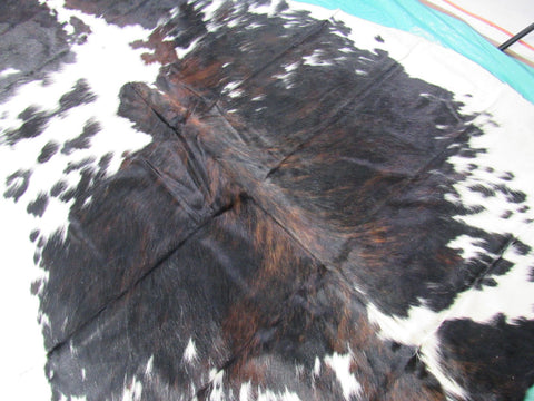 Dark Tricolor Cowhide Rug Size: 8.2x6.2 feet M-1207