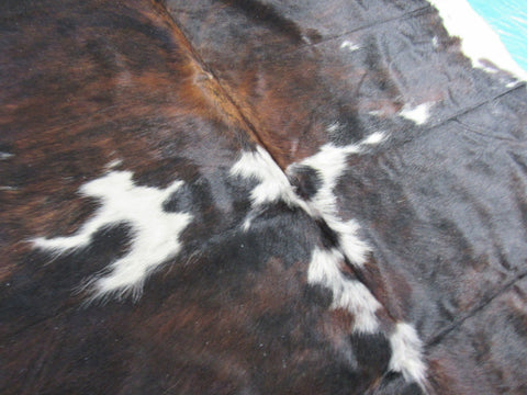 Dark Tricolor Cowhide Rug Size: 7.2x7 feet M-1208