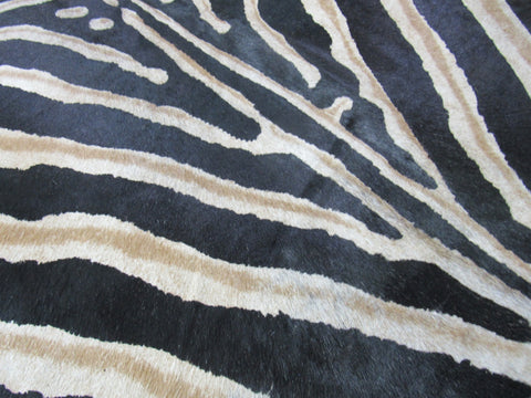 Genuine Zebra Cowhide Rug (center is a bit grey) Size: 7x6.5 feet B-094