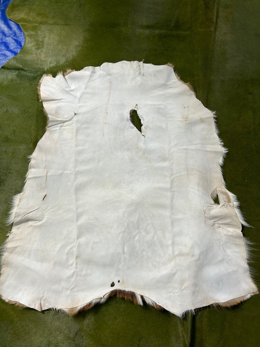 2nd Axis Deer Skin (2 big holes) Size: 41x35" M-1630