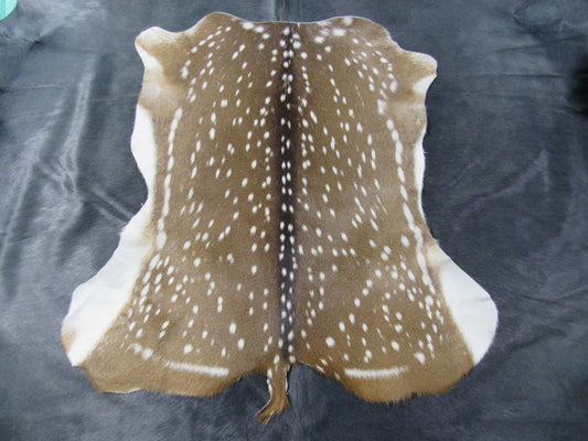 Top Quality Axis Deer Skin (no holes/ has tail) - Size: 41"x39" Axis-677
