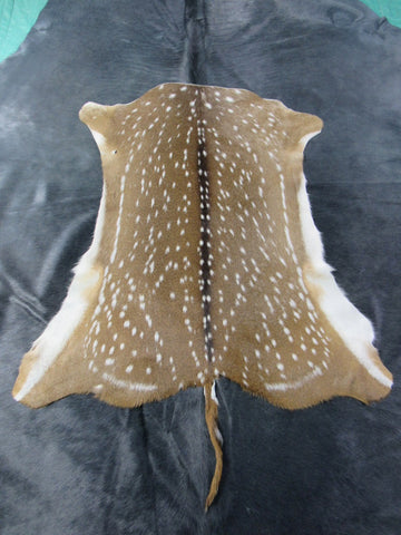 Top Grade Axis Deer Skin (1 small hole/ has tail) - Size: 42"x39" Axis-679