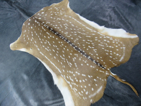 Top Grade Axis Deer Skin (1 small hole/ has tail) - Size: 42"x39" Axis-679