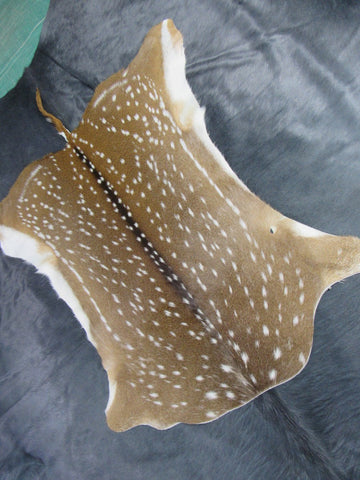 Top Grade Axis Deer Skin (1 small hole/ has tail) - Size: 42"x39" Axis-679