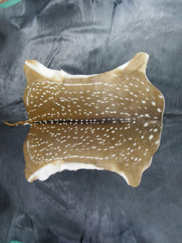 Top Grade Axis Deer Skin (1 small hole/ has tail) - Size: 42"x39" Axis-679