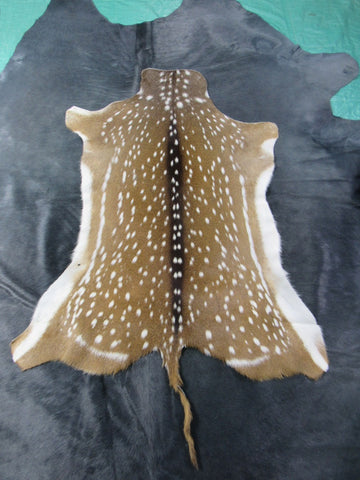 Top Grade Axis Deer Skin (2 holes/ super long tail) - Size: 51"x39" Axis-681